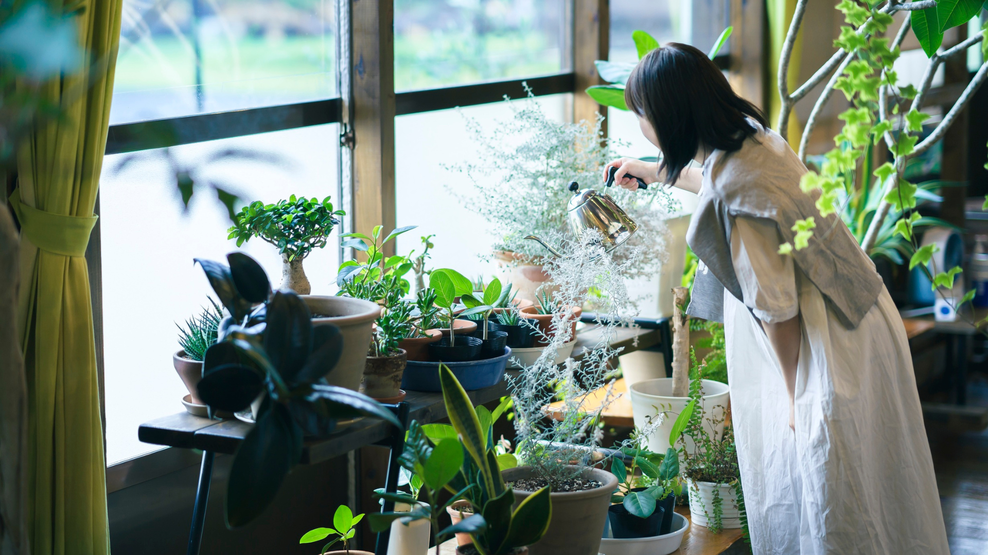 5 Reasons Why Hobby Growers Are Choosing Our Urban Farming Courses