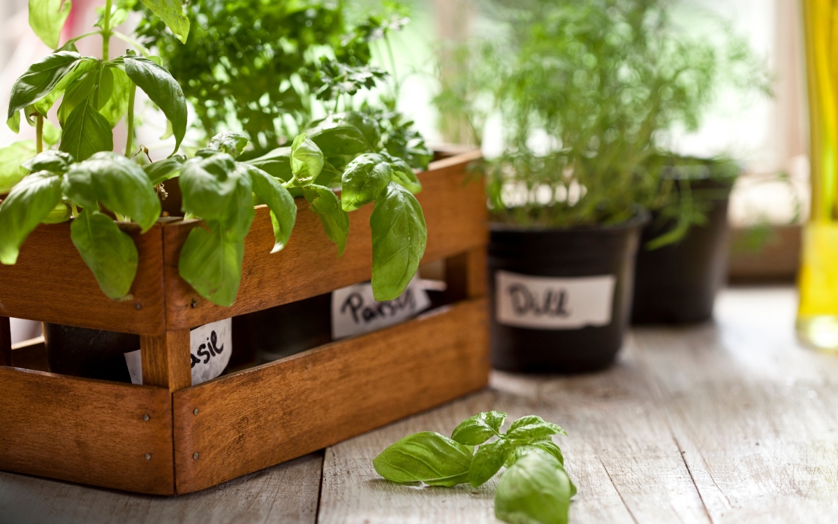 Building a Sustainable Future
